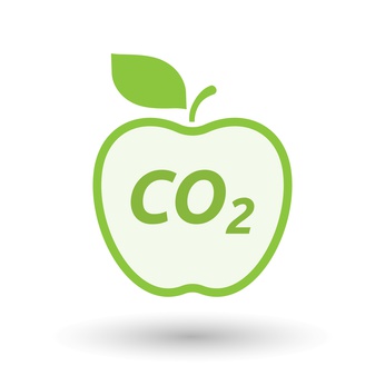 Kalk von Otterbein zur CO2-Bindung in Fruchlagerräumen