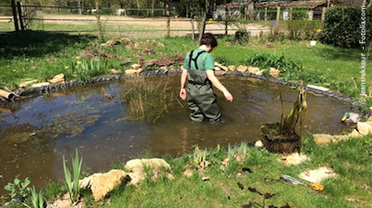 Gartenteich kalken