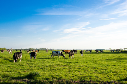 Kalk von Otterbein für Landwirtschaft, Grünflächen