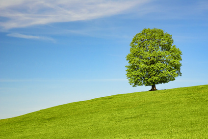 Kalk von Otterbein für Landwirtschaft, Grünflächen