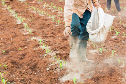 Düngelkalk von Otterbein für Landwirtschaft und Garten