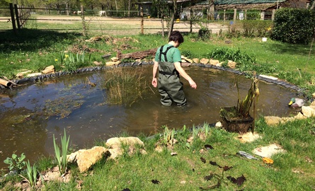 Kalk von Otterbein für Gartenteiche, Gewässerkalkung