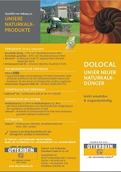 Flyer DOLOCAL<br />- deutsch -